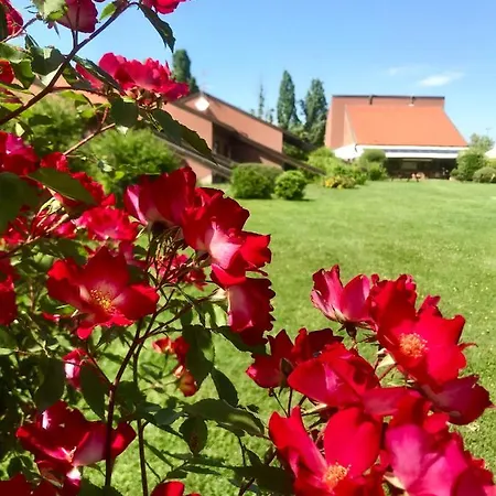 Serravalle Golf Ξενοδοχείο Serravalle Scrivia